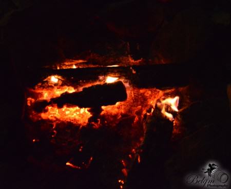 priate_cove_campfire